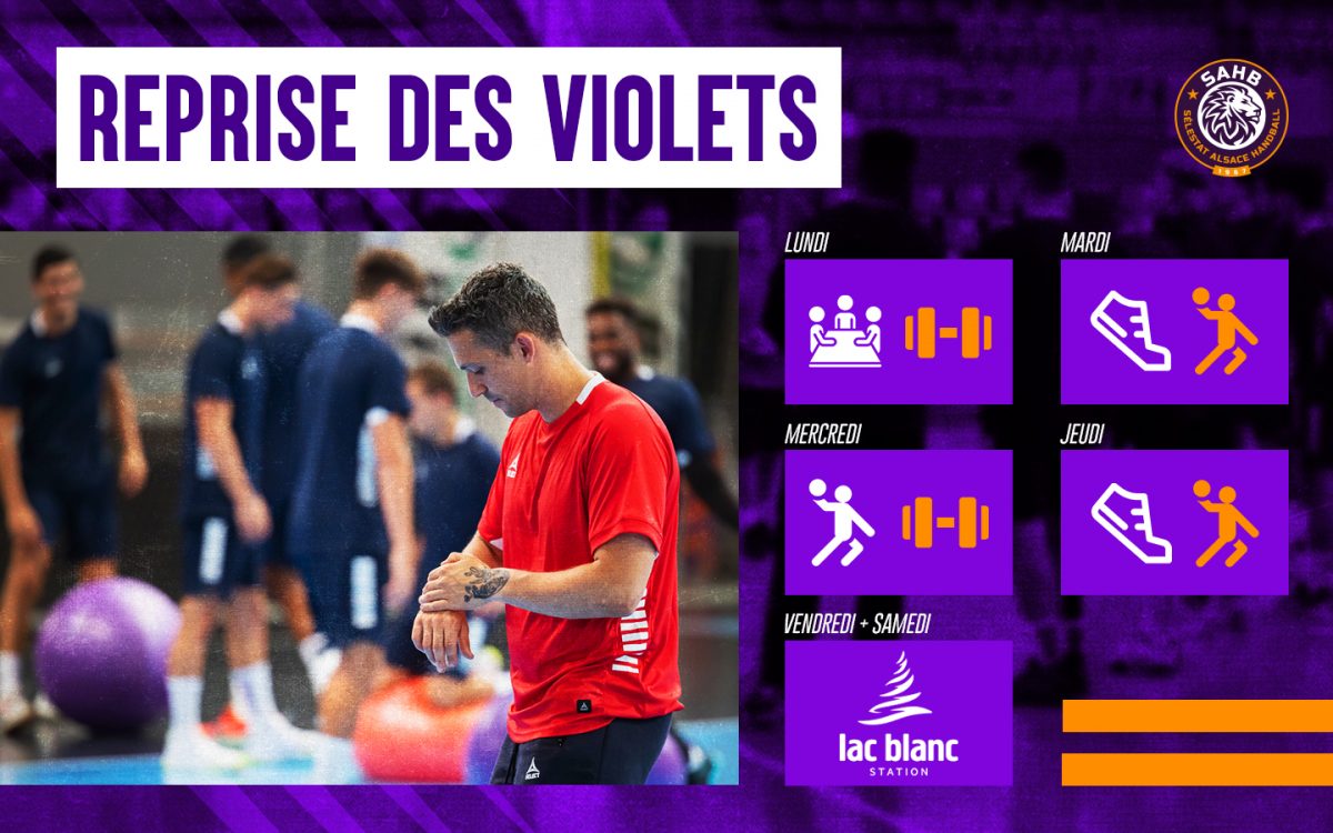 Reprise des violets !