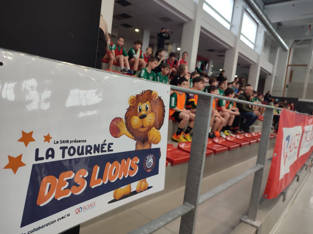 La Tournée des Lions