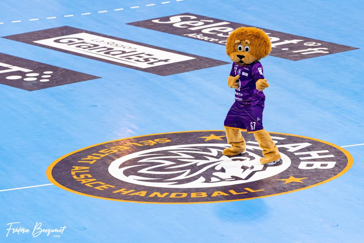 Prochains matchs au CSI !