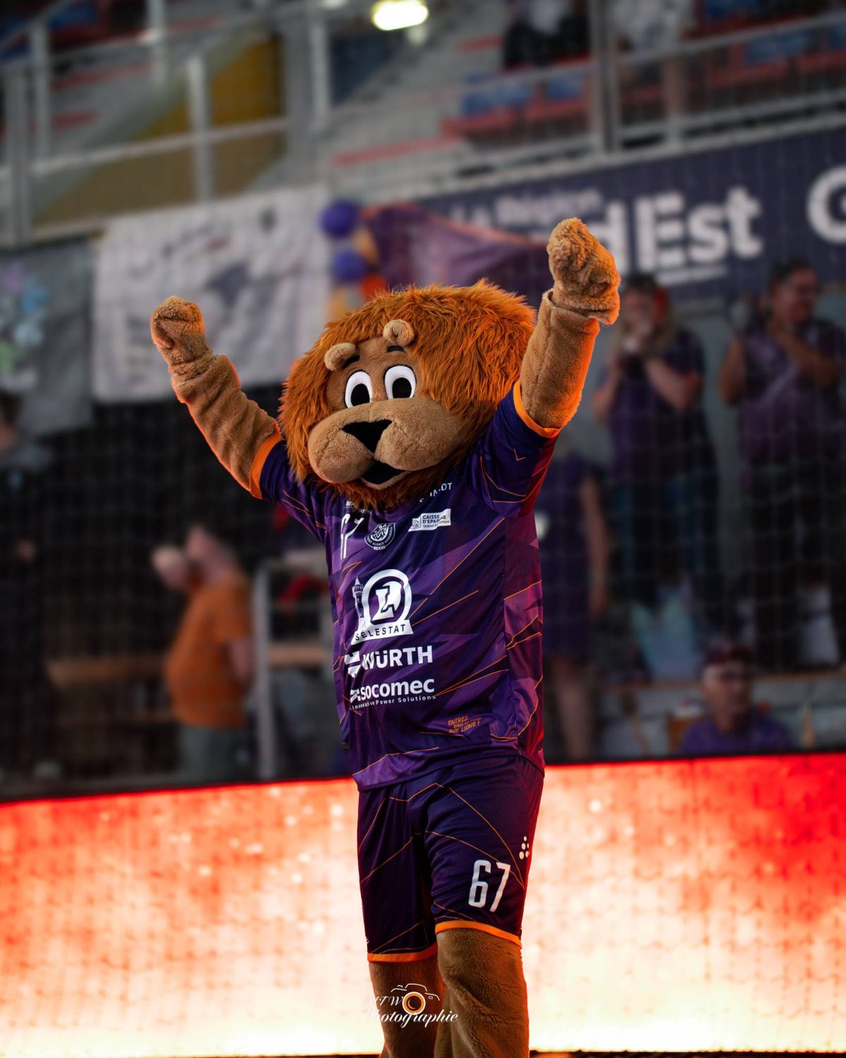 FINALES – Diffusion sur beIN SPORTS !