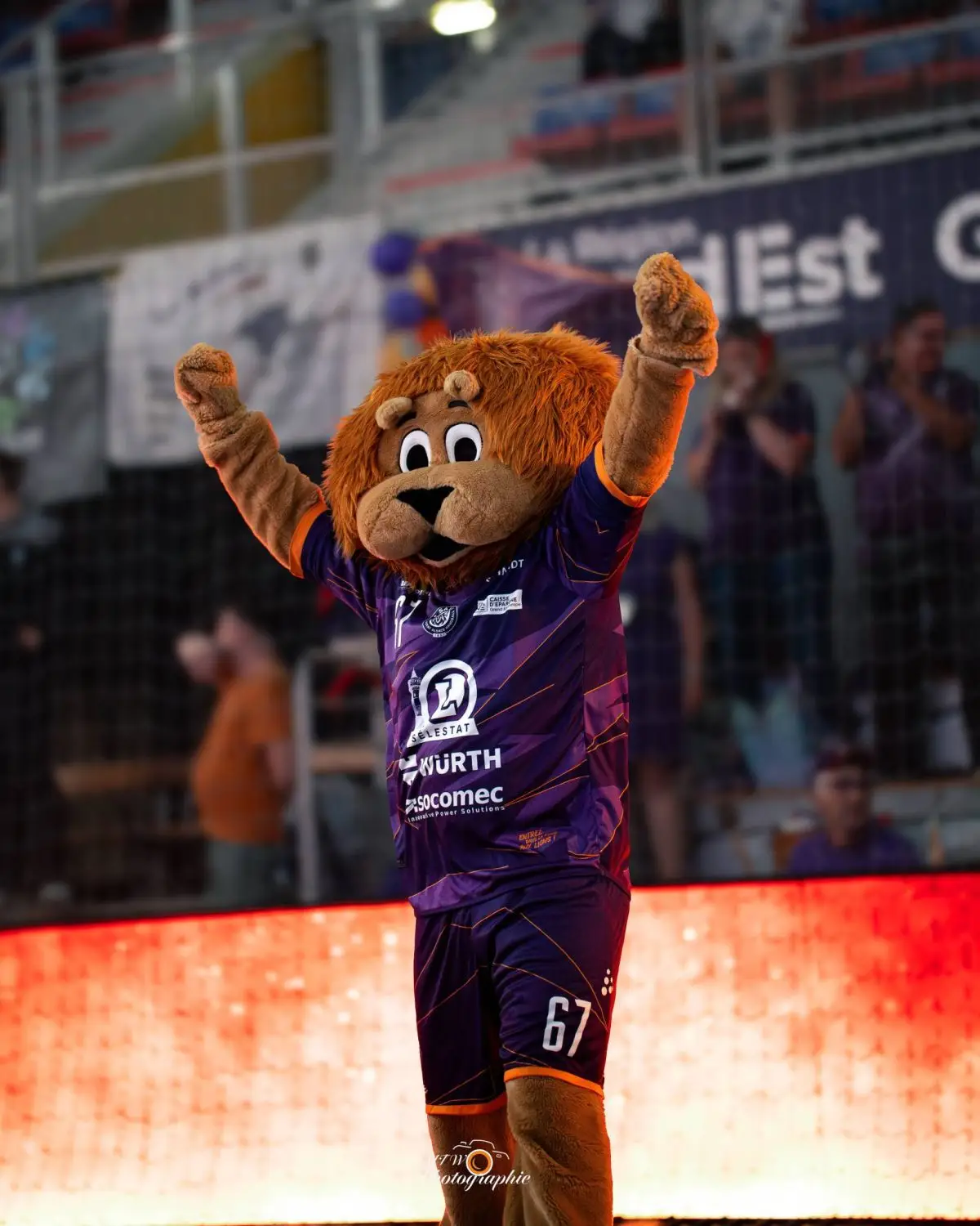 FINALES – Diffusion sur beIN SPORTS !