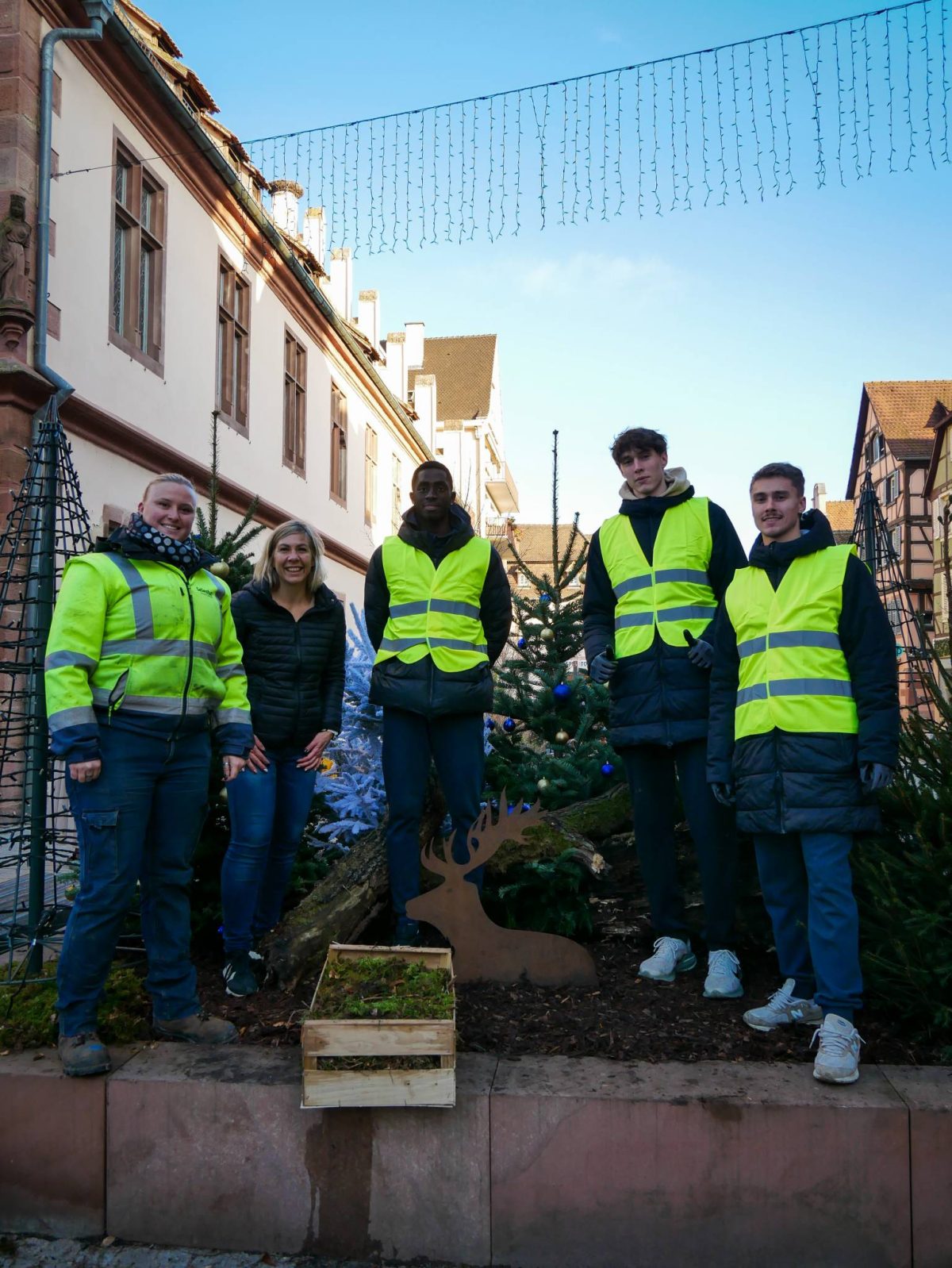 La magie de Noël à Sélestat !